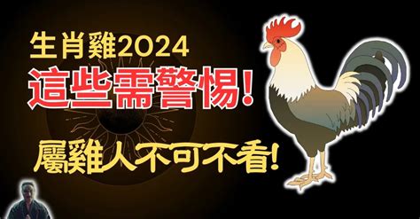 1981屬雞一生運|【1981 雞】1981 雞年運勢大揭密：五行、大運及 2024 年運程！